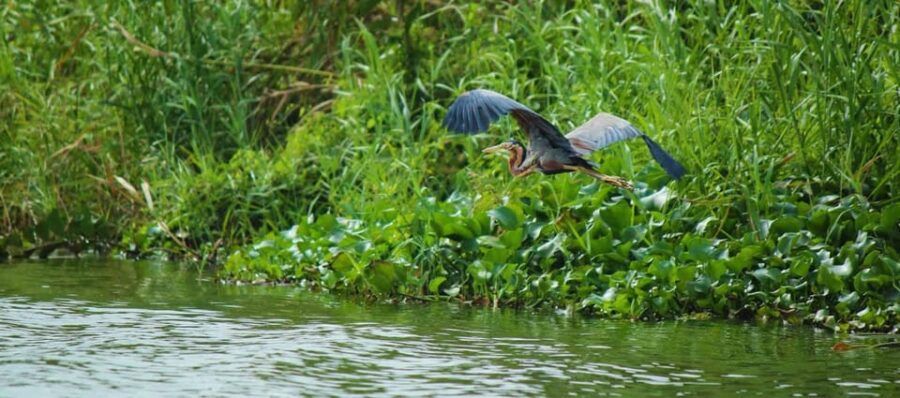 Srilanka, Negombo: Day Tour With Airport Transfer
