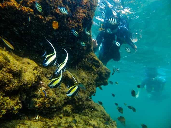 St. Lucia: Cape Vidal Snorkeling Adventure - Overview of the Activity