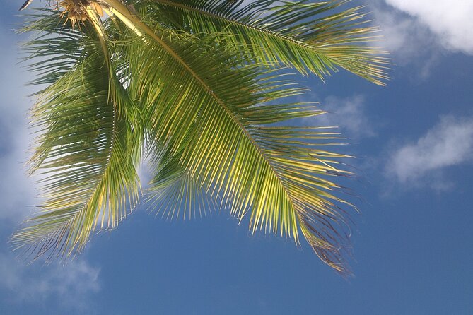 St.Maarten Beach Hopping Tour