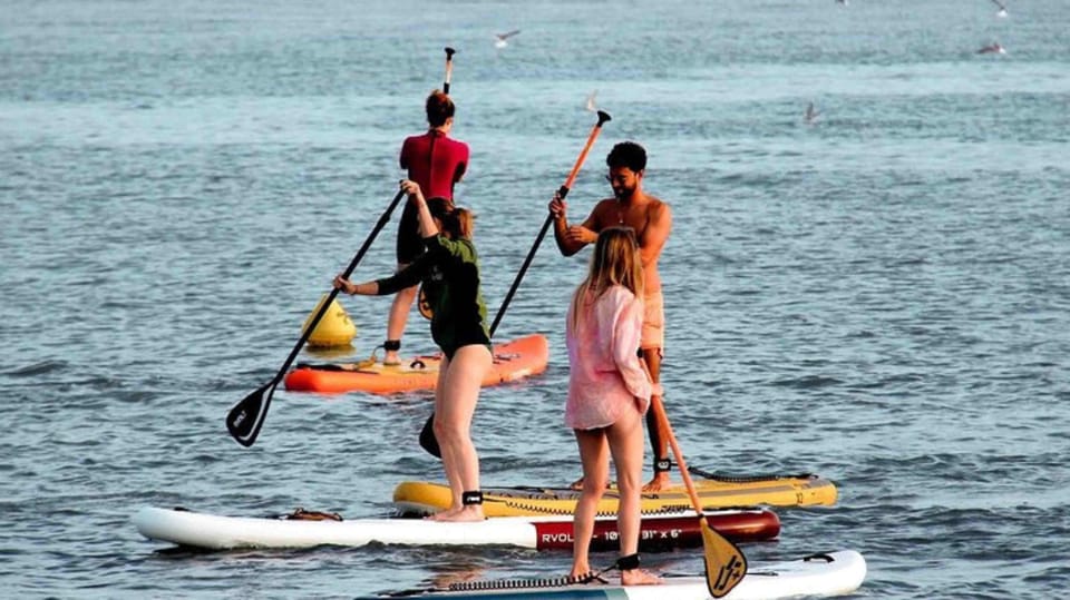 Stand up Paddle and Shopping CAP3000 - Activity Overview