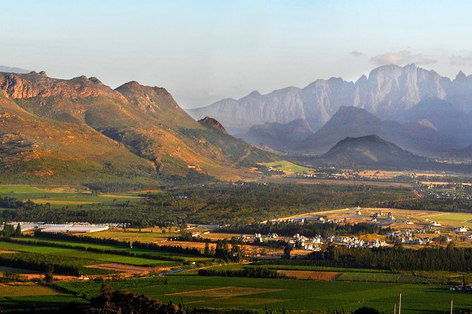 Stellenbosch, Franschhoek and Paarl Winelands Full Day Trip From Cape Town - Overview of the Wine Tour