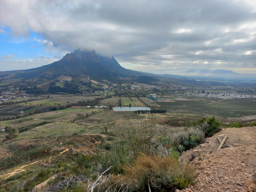 Stellenbosch: Half-Day Guided Nature Hike and Wine Tasting - Exploring Banhoek Conservancy