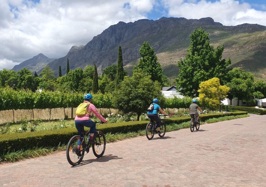 Stellenbosch: Historical Bike Tour & Wine Tasting