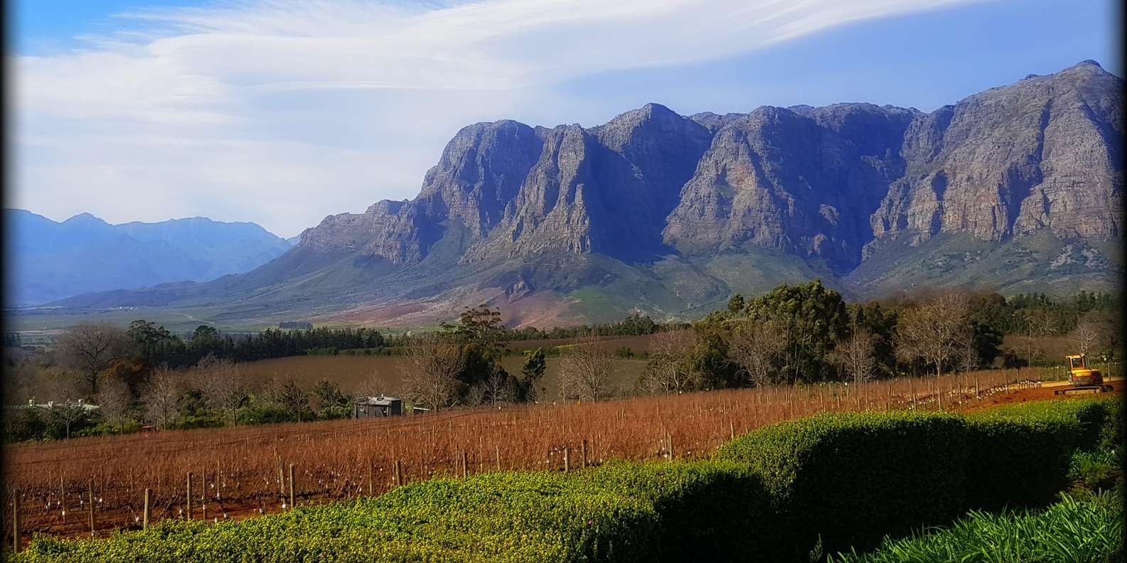 Stellenbosch Mavericks Wine Tasting Tour - Itinerary Highlights