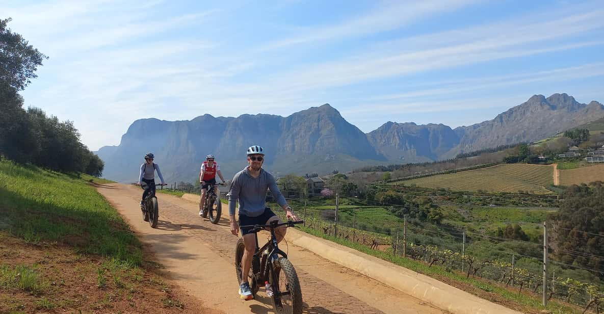 Stellenbosch: Stellenbosch E-Bike & Wine Tour (Shared Tour) - Tour Overview