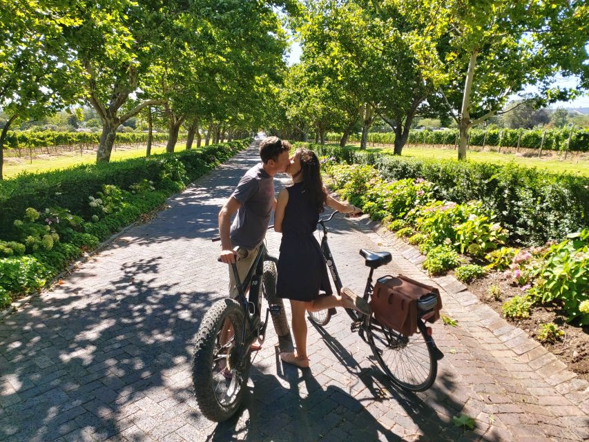 9 Best Bike Tours In Stellenbosch