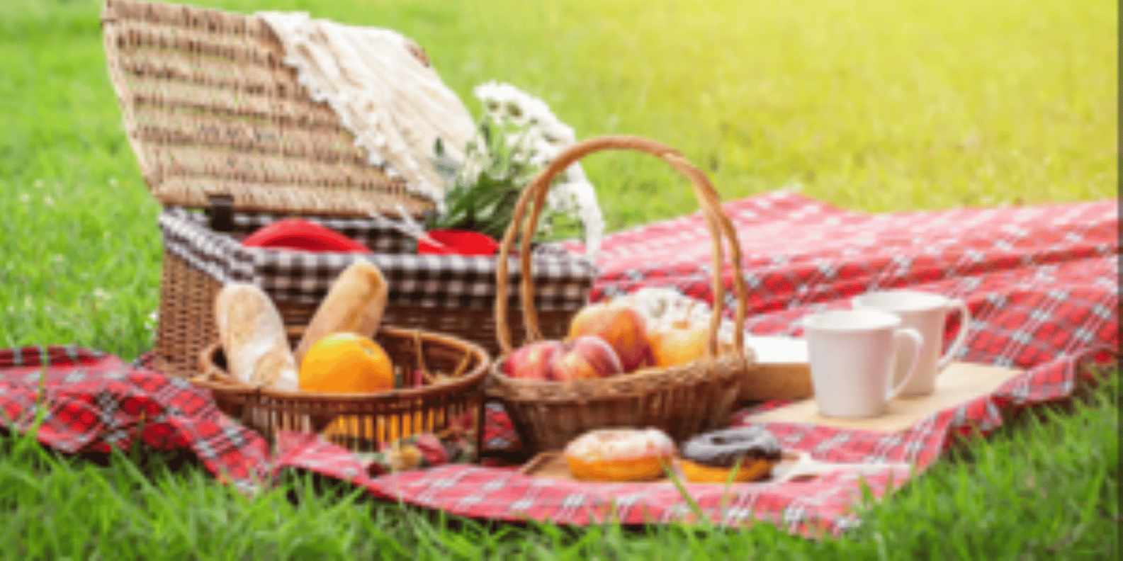 Stormsrivier Village : Picnic and Rental Package - Children - Meeting Point and Deposits