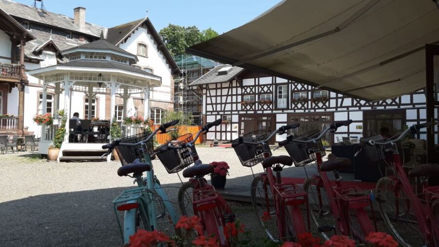 Strasbourg: Bike Tour With a Guide