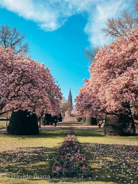 Strasbourg: Guided Historical Neighborhoods Walking Tour - Tour Overview