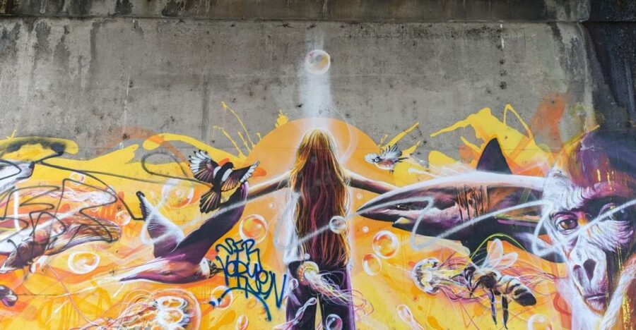 Strasbourg: Street-Art Tour