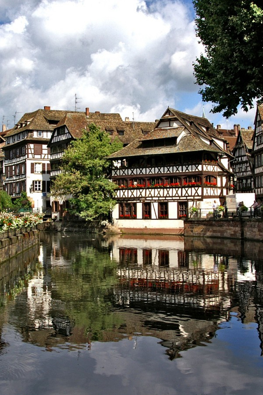 Strasbourg : Wine Tour by Bike With a Local