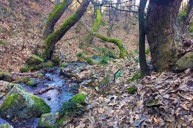 Strumica Monasteries and Waterfalls Tour From Skopje
