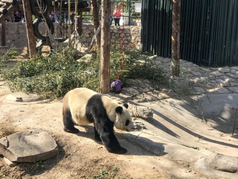 Summer Palace Walking Tour