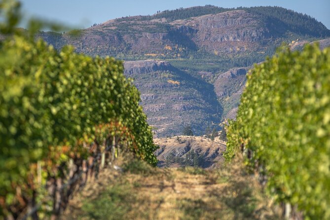 Summerland Wine Tour Full Day Guided With 5 Wineries