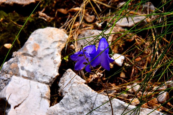Summit Albania Hiking, Holy Mount of Tomorr,Off Road Albania, Berat (ARG)