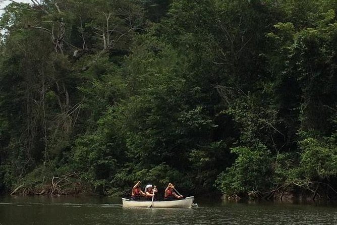 Sun Set Canoeing From San Ignacio