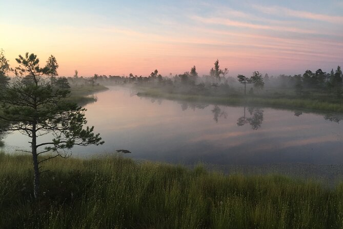 Sunrise at Kemeri National Park