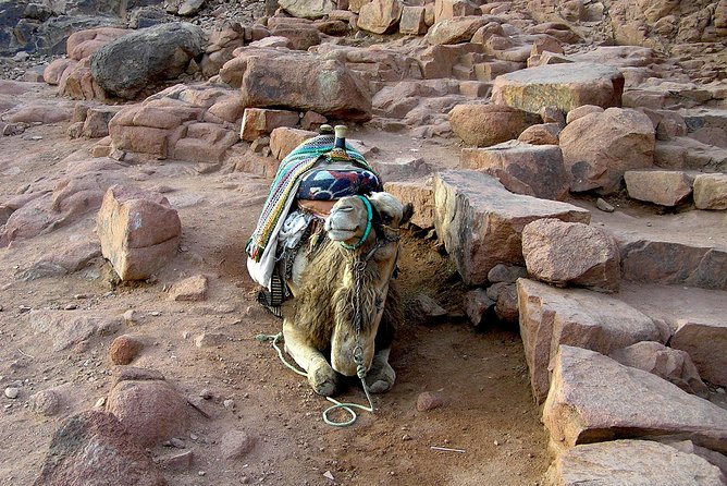 Sunrise at Mt.Sinai and St.Catherine Monastery. Entrance Included