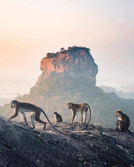 Sunrise / Sunset Hike to Sigiriya Pidurangala Rock - Activity Overview