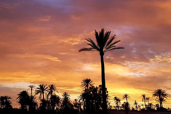 Sunset Camel Ride in Agadir or Taghazout With Transfers - Scenic Route and Views