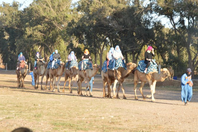 Sunset Camel Ride in Agadir With Transport, Tea and Cakes. - Tour Overview and Highlights
