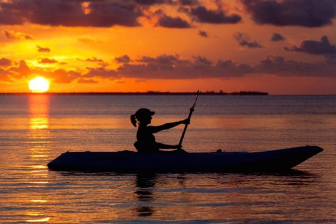 Sunset Kayaking W/ Florida Bioluminescence Combo Tour | Haulover Canal