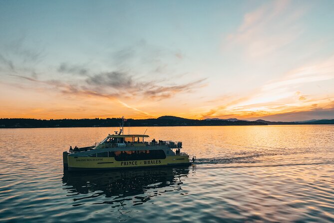 Sunset Whale Watching Adventure From Vancouver - Vessel Features and Comfort