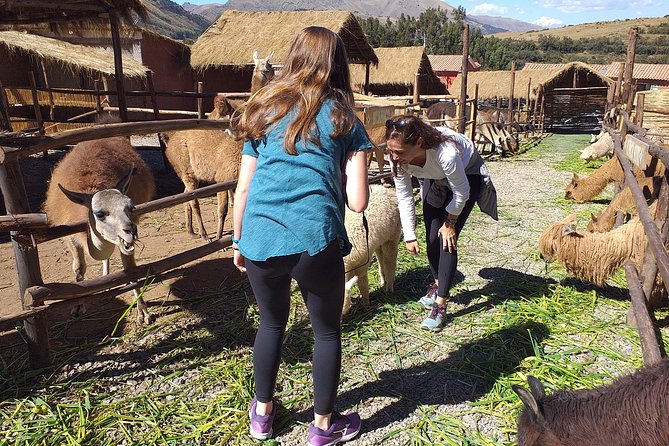Super City Tour Cusco Full Day With Lunch