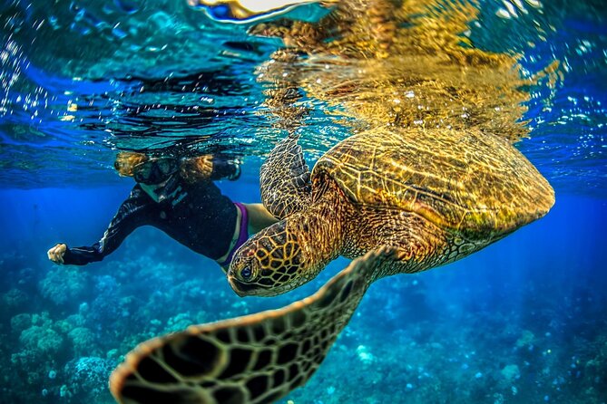 Super Raft - Private Charter Maui 3 Hour Snorkel to Coral Gardens or Molokini - Overview of Super Raft Experience