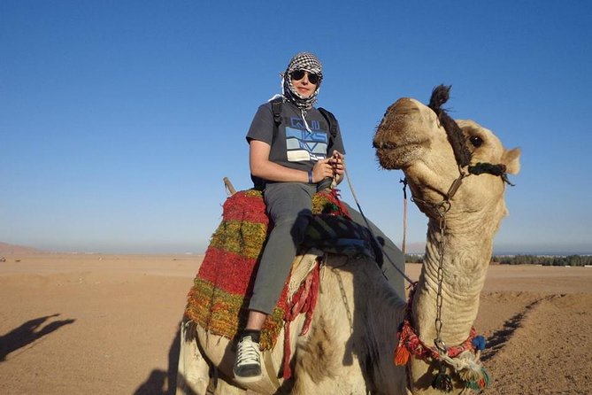 Super Safari ATV, Buggy Car, Camel Ride, Bedouin Dinner -Hurghada