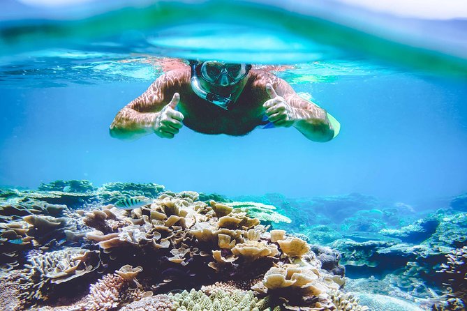 Surin Islands – the Snorkeling Experience From Phuket