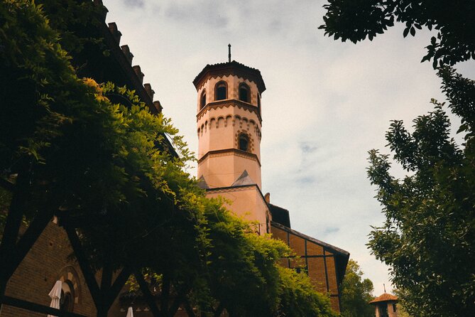 Surprise Walk of Turin With a Local Review