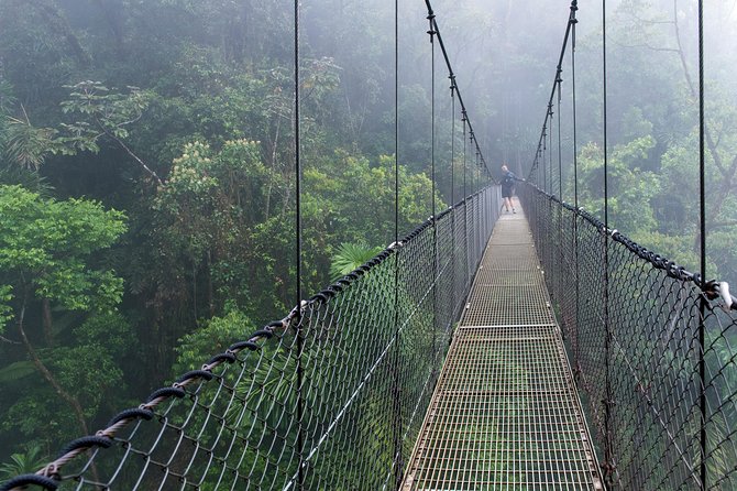 Suspension Bridges, Fortuna Waterfall, Typical Lunch