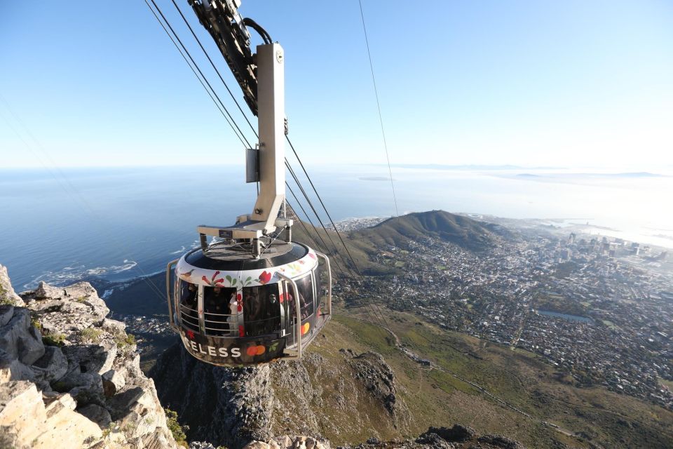 Table Mountain & Cape of Good Hope & Penguins Full Day - Tour Overview and Pricing