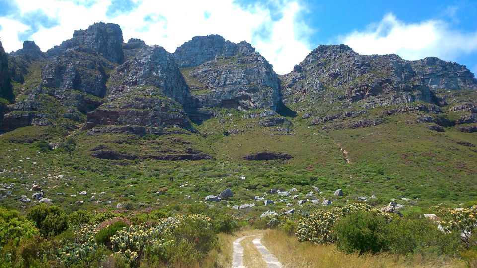 Table Mountain: Easy Walk for the Whole Family - PRIVATE - Tour Overview