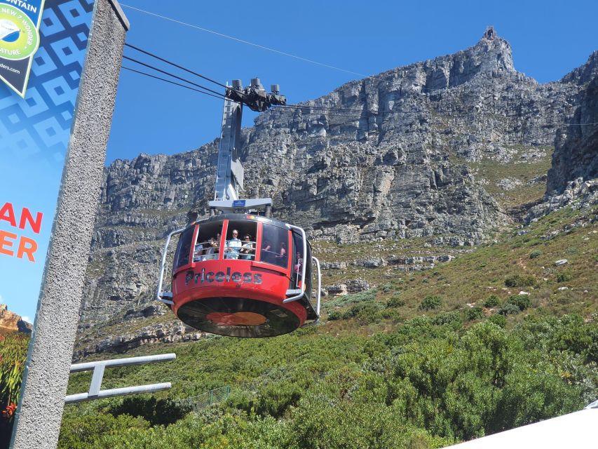 Table Mountain, Penguins & Cape of Good Hope Private Tour - Tour Overview and Details