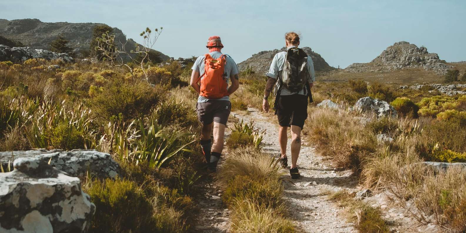 Table Mountain: Tranquility Cracks Hike - Overview of the Hike