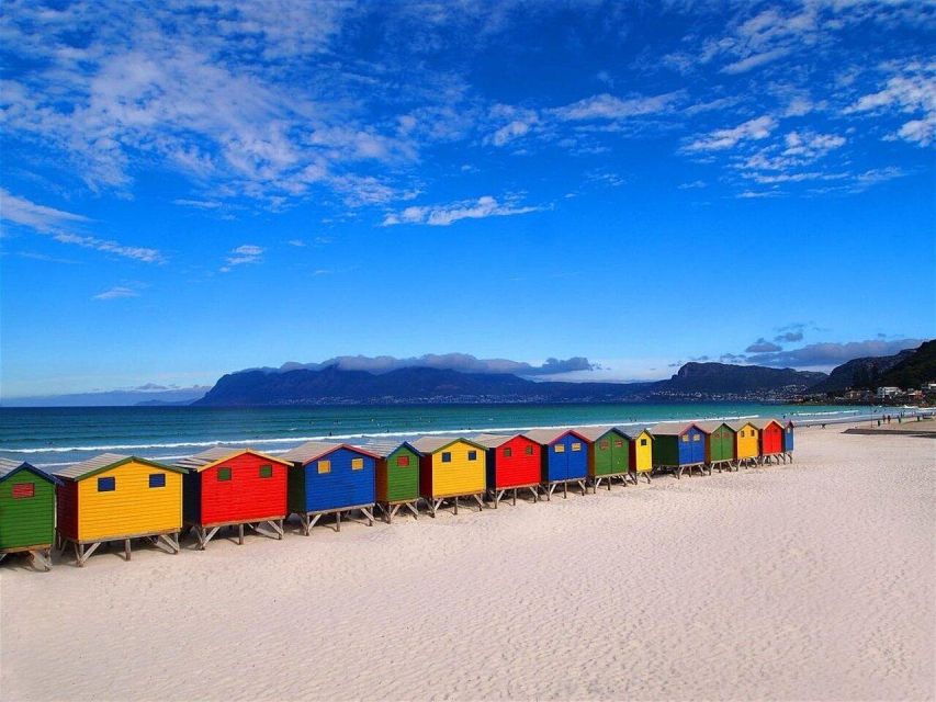 Table Mountain,Seals,Penguin,Cape of Good Hope,Bokaap , - Tour Overview and Pricing