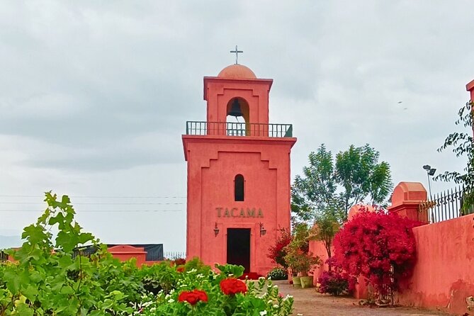 Tacama Wine Experience and Pisco Museum and Pisco Sour Class