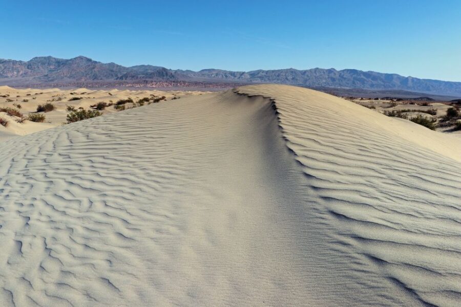 Taghazout: Paradise Valley and Sand Dunes Guided Tour - Exploring Paradise Valley
