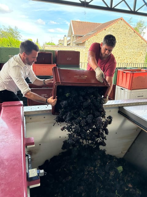Tailormade Experience in Champagne - Flagship Winegrowers and Renowned Houses