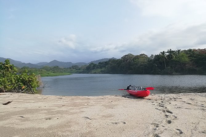 Taironaka Culture and Nature - Private Tour