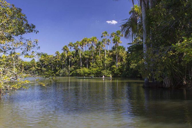 Tambopata National Reserve Tour (3 Days)