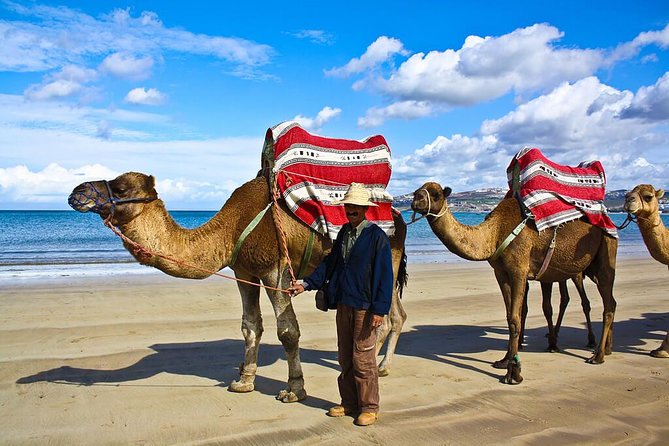 Tangier Tour