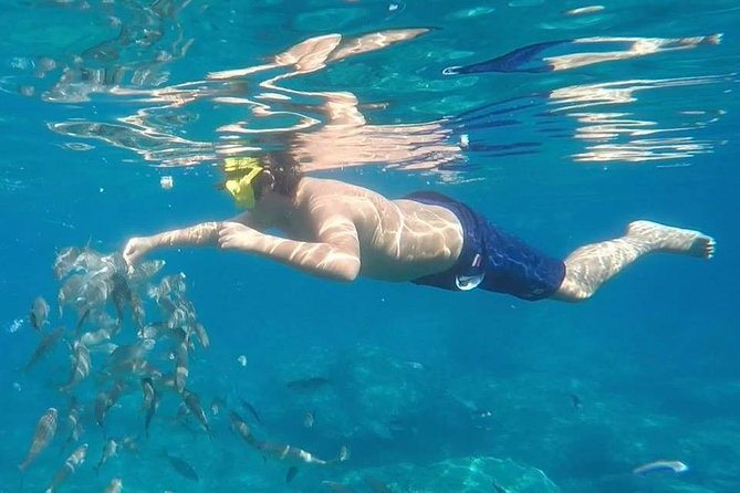 Taormina Snorkeling Experience