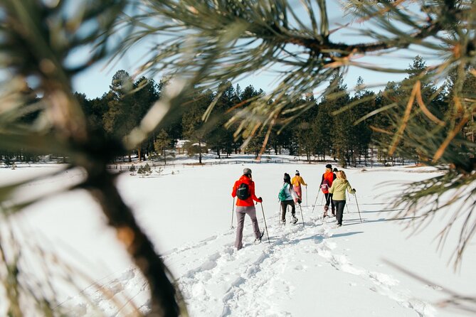 Taos Backcountry Snowshoe Tour