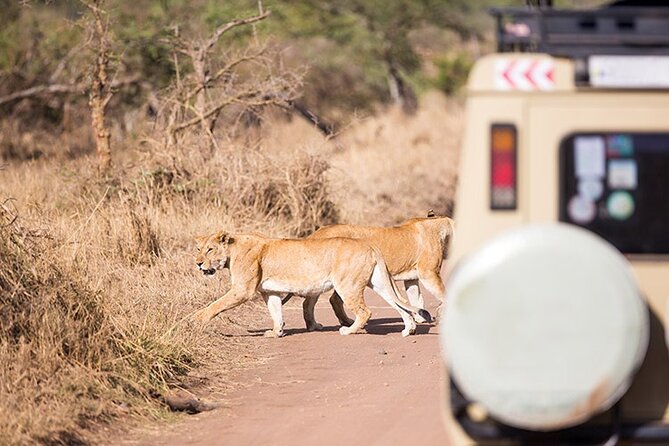 Tarangire, Serengeti, Ngorongoro & Lake Manyara Group Safari (5 Days)