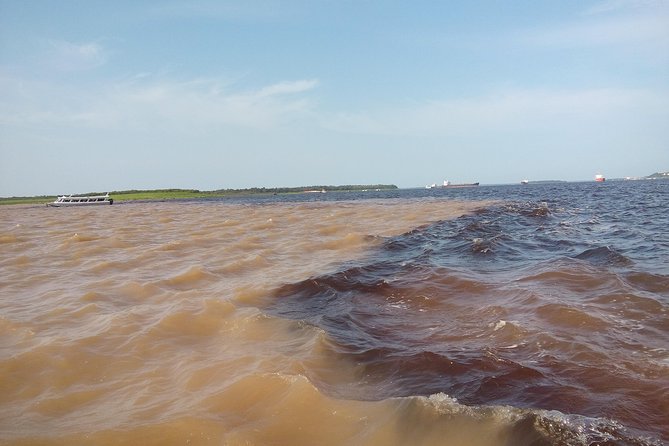 Taste of the Amazon Jungle 3D-2N-A Amazon Tapiri Floating Lodge - Overview of the Tour