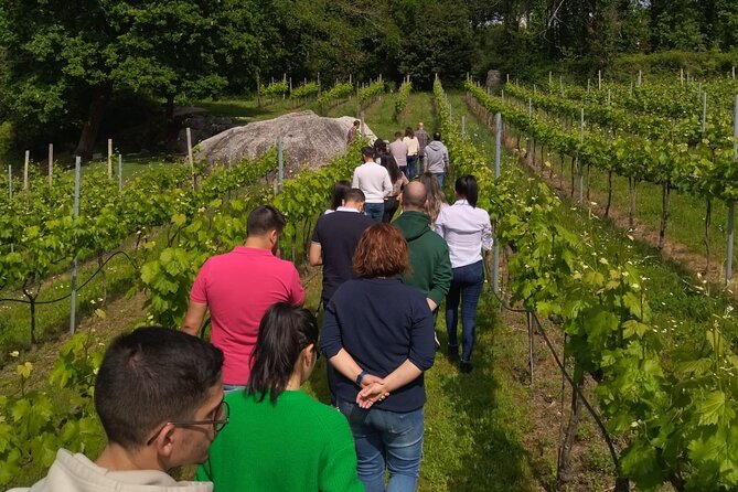 Tasting the Best Wines of the Region With a Sommelier in Braga - Overview of the Wine Tasting Tour