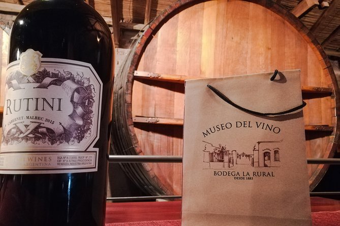 Tastings and Lunch in Maipú! One of the Oldest Regions of Mendoza